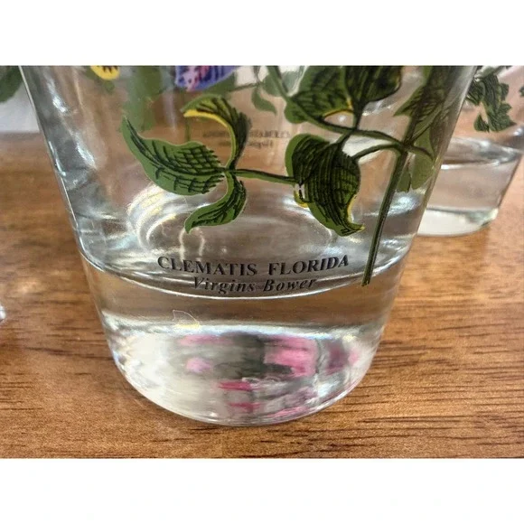 Vintage Portmeirion Botanic Garden Clematis Florida‎ Highball Glasses Set - Picture 6 of 7